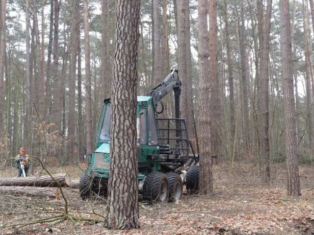 Zaangażowano także ciężki sprzęt.