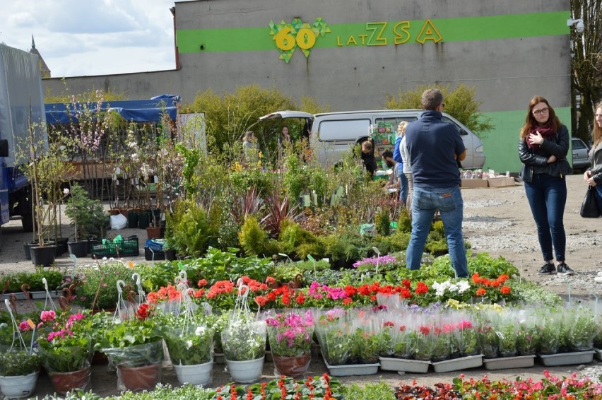 Zespół Szkół Agrotechnicznych w Sławnie