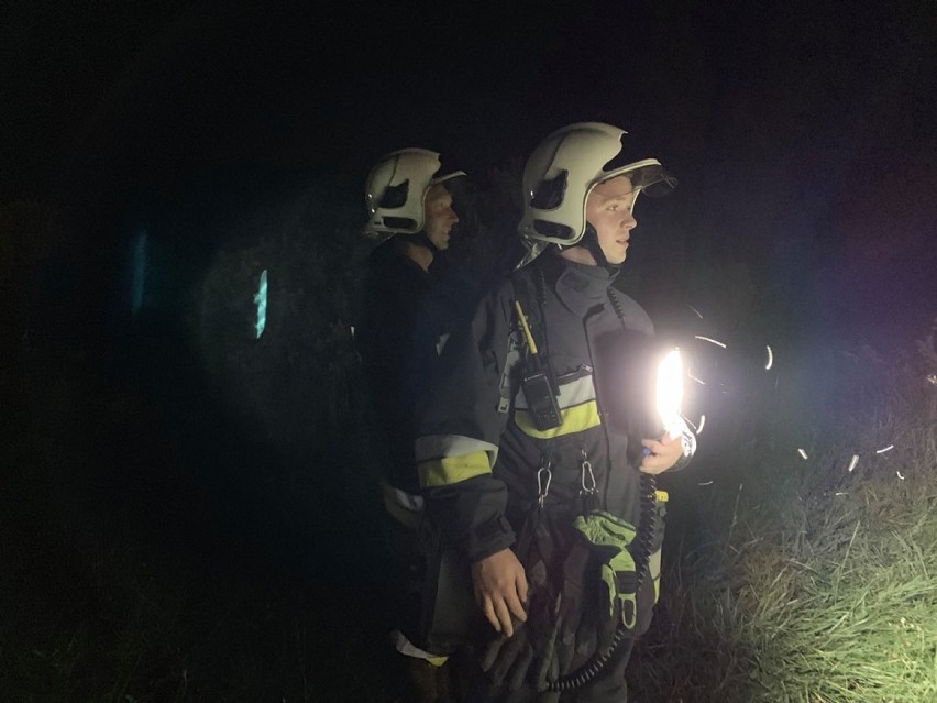 Poszukiwania byka w Zacharzynie: W akcji brali udział strażacy z trzech jednostek (FOTO)