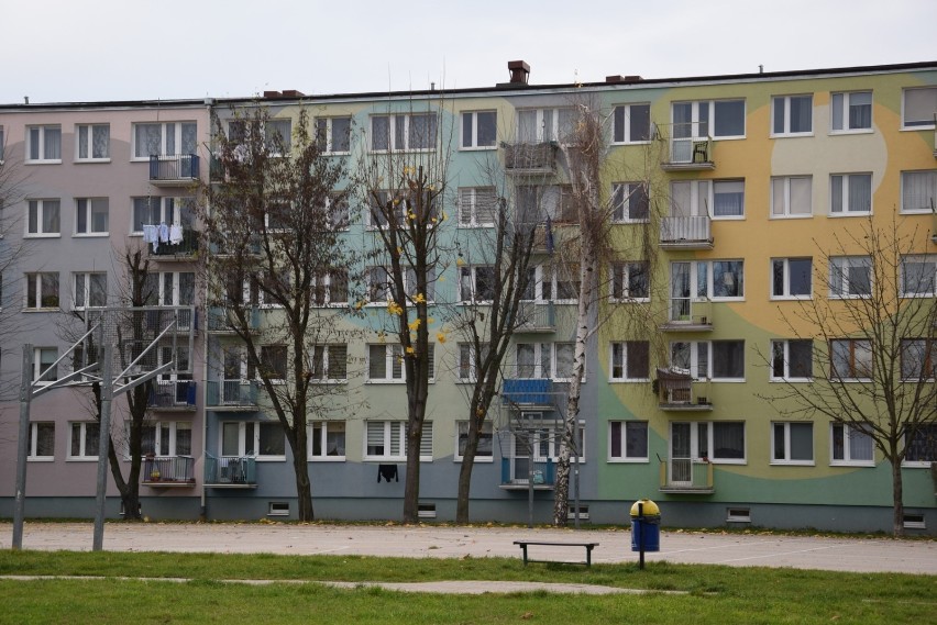 Nie wszystkim podoba się jesienna wycinka drzew