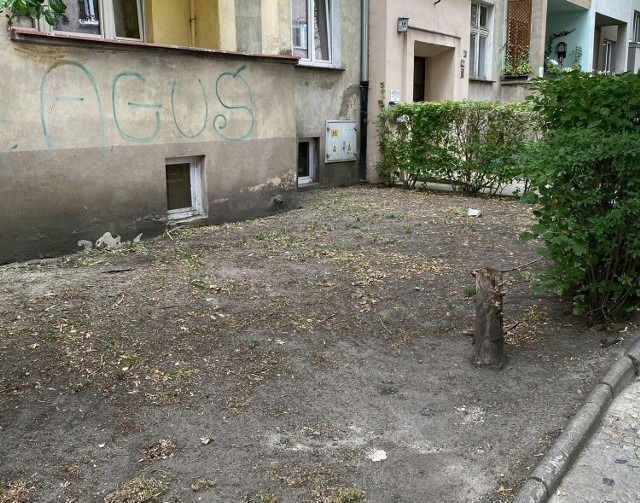 Średnio raz na miesiąc koszą trawniki przed naszymi kamienicami, nawet jeśli trawy tam nie ma. W efekcie przed oknami mamy puste ogródki, zamiast zieleni- skarżą się mieszkańcy Placu Grunwaldzkiego.