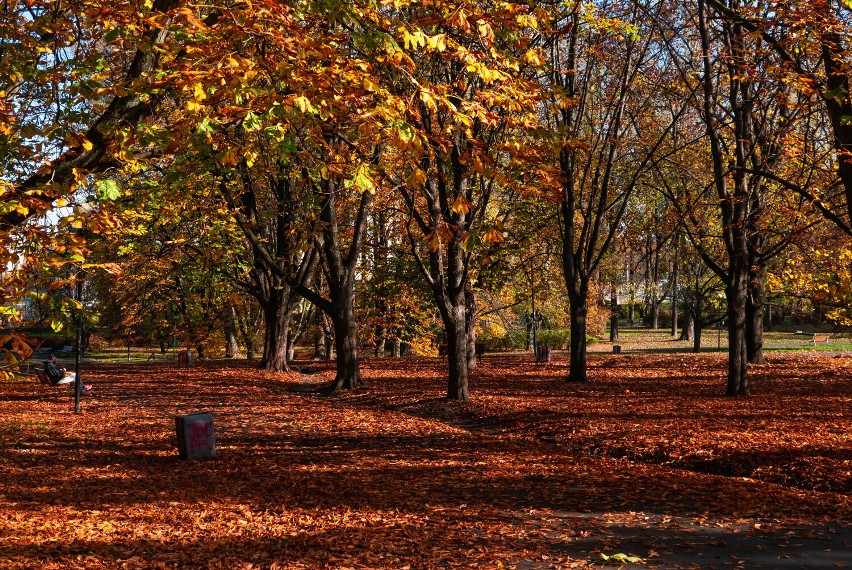 Park Morskie Oko w jesiennych barwach