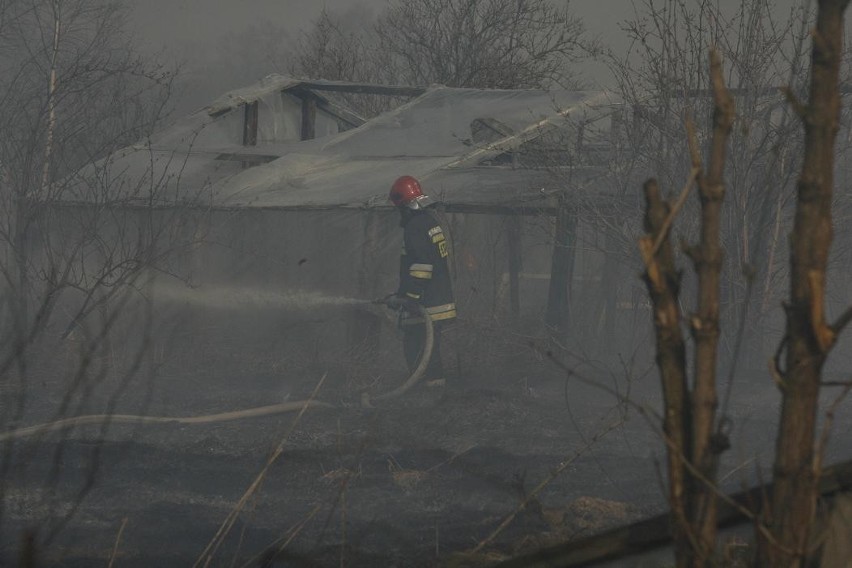 Strażacy walczyli z pożarem w Legnicy (FOTO)