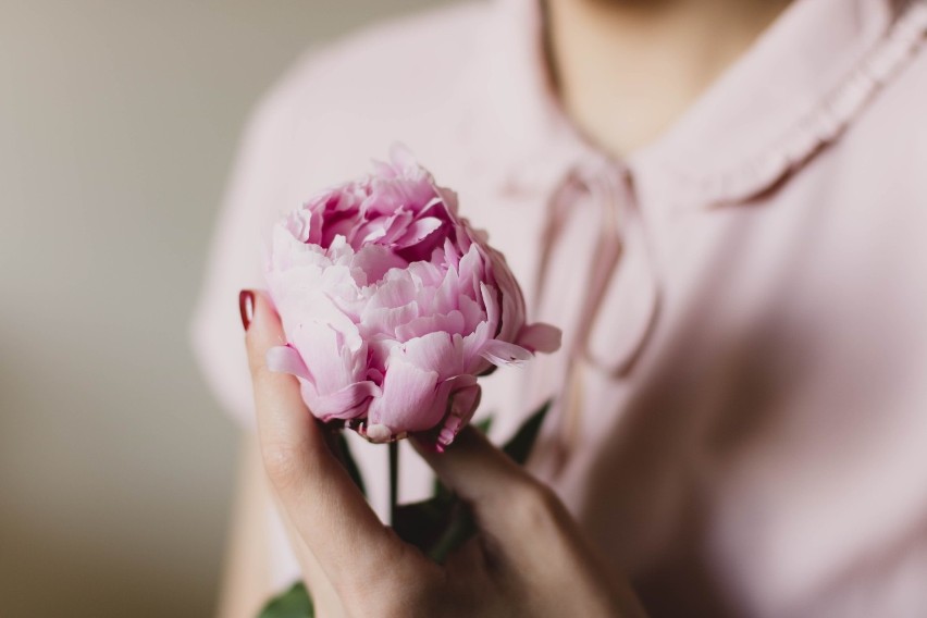Sprawdź gdzie w Puławach i okolicach kupisz piękne i świeże kwiaty na Dzień Matki. Te kwiaciarnie polecają mieszkańcy!