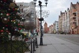 Elbląg. Świąteczne Spotkania Elblążan w tym roku odwołane, ale miasto przygotowuje się na święta. Trwa ustawianie choinek i montaż ozdób