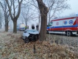 Wypadek na drodze wojewódzkiej nr 973 w Tarnowie. Przy ulicy Niedomickiej kierowca seata uderzył w drzewo