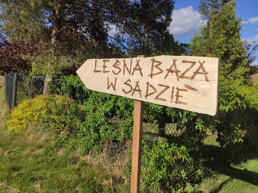 Leśna Baza w Sadzie koło Zgorzelca, czyli leśne nie-przedszkole. Co to takiego i jak będzie wyglądała opieka nad dziećmi?