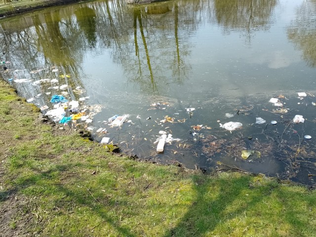 Cały staw pływał w śmieciach. Mężczyzna wyrzucił śmieci z kosza do stawu w Parku Miejskim w Pleszewie. Namierzył go monitoring miejski!