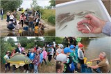 Tysiąc młodych ryb wpuszczono do Wisły pod Włocławkiem [zdjęcia, wyniki konkursu]