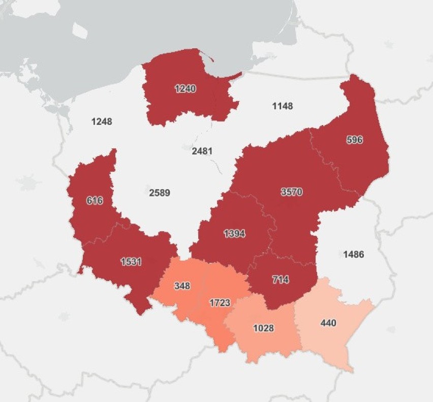 Koronawirus w Zachodniopomorskiem. Ile zakażeń? Sprawdź najnowszy raport 