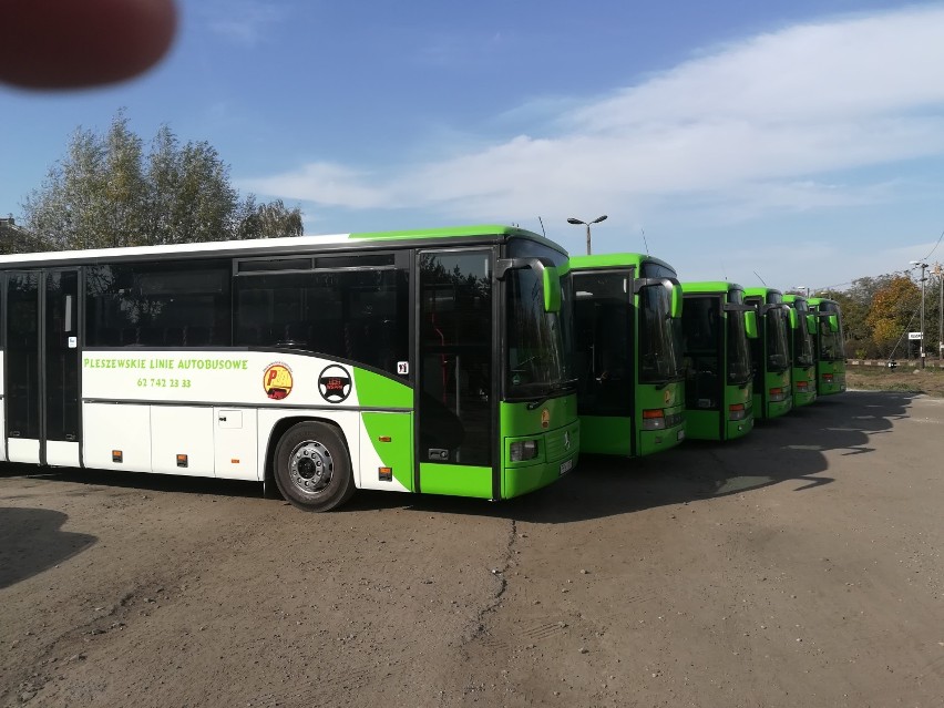 Pleszewskie Linie Autobusowe w Dniu Wszystkich Świętych przewidziały sześć kursów autobusowych. Znamy szczegóły