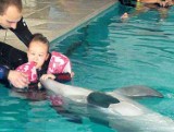 Delfiny pomagają chorej Julii