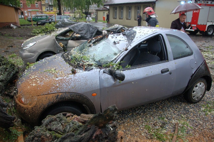 Wypadek w Tarnowie. Konar drzewa zmiażdżył trzy auta [ZDJĘCIA, WIDEO]