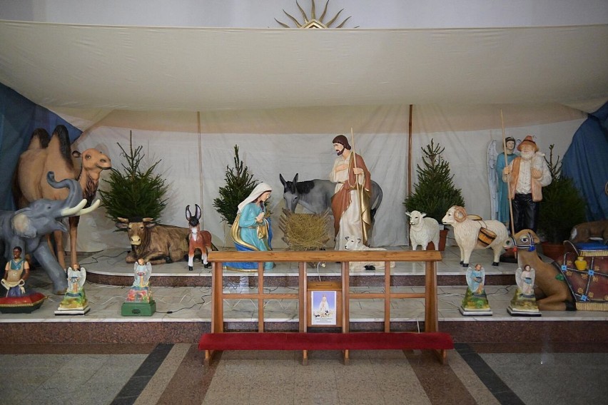 Szopka bożonarodzeniowa w Sanktuarium Relikwii Drzewa Krzyża Świętego w Wałbrzychu