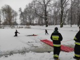 Strażacy ćwiczyli w Kochcicach techniki ratownictwa wodno-lodowego