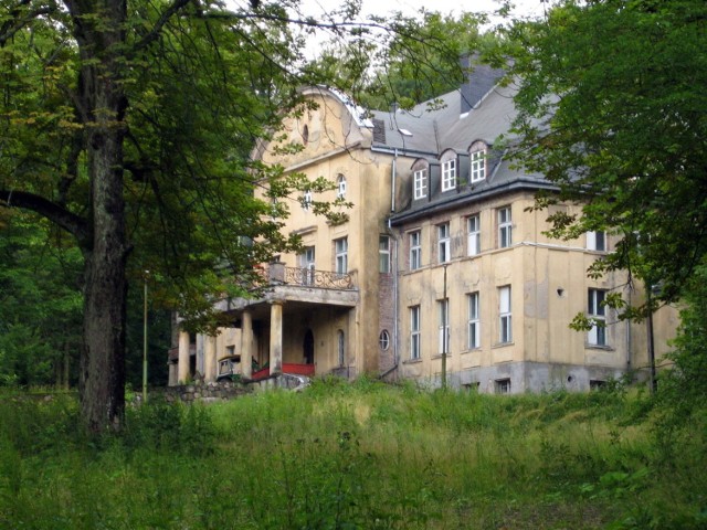 Pałac w Trzcinnie pochodzi z XIX wieku, wybudowany przez rodzinę Massow, przebudowany po pożarze w 1911 roku. Piekny pięciohektarowy park otacza pałac, znajduje sie tam wiele rzadkich gatunk&oacute;w drzew. Niestety, niedostępny do zwiedzania. Fot. Isabel