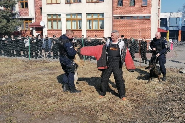 W pokazie wzięły udział między innymi – Luba i Negat , czworonożni funkcjonariusze z kutnowskiej policji wraz ze swoimi przewodnikami.
