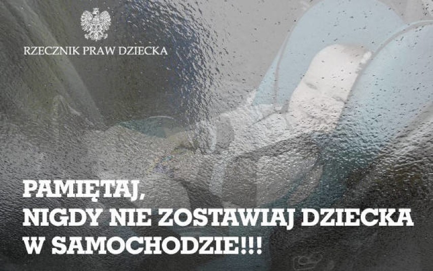 Piekary Śląskie: Zostawili 3-letnie dziecko i psa w rozgrzanym samochodzie... i poszli do centrum handlowego