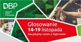 Budżet Obywatelski DG: rusza głosowanie na 122 projekty! 