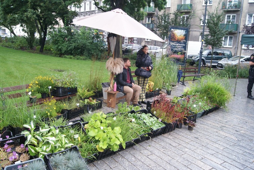 Targ na plantach miejskich w Kaliszu