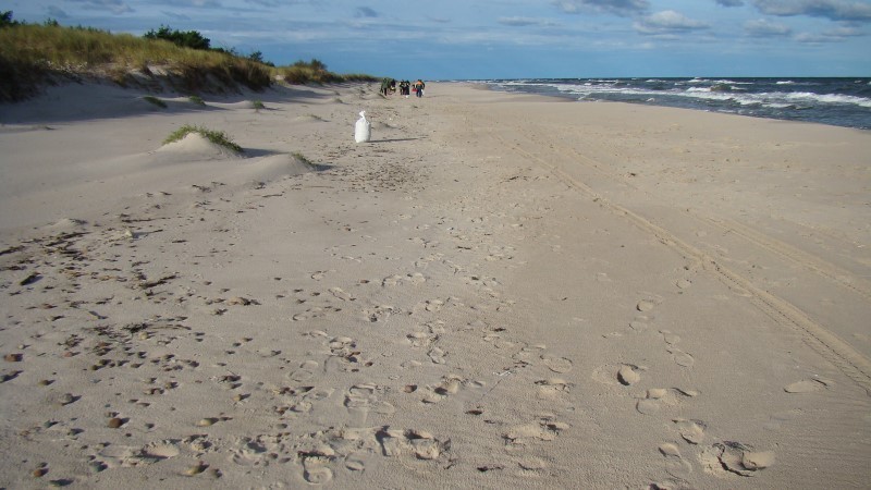 Trwa sprzątanie plaży