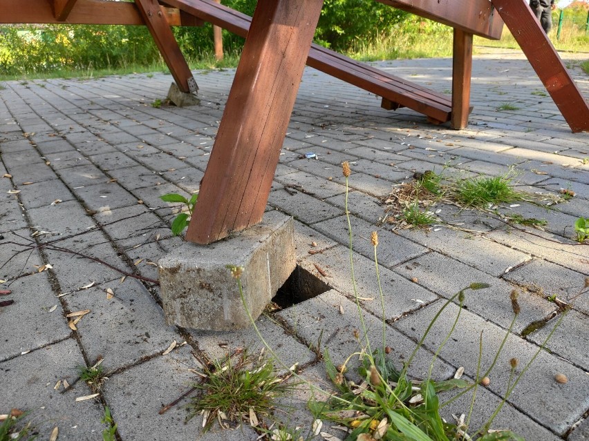 Wandale zniszczyli skwer przy ul. 1 Maja w Pieszycach