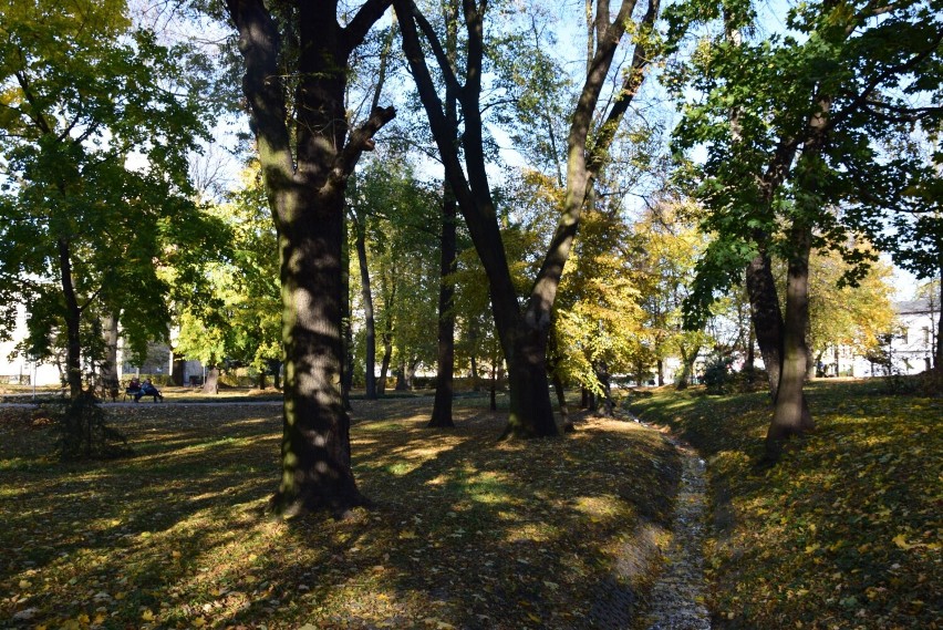 Złota polska jesień w wieluńskim parku Żwirki i Wigury ZDJĘCIA