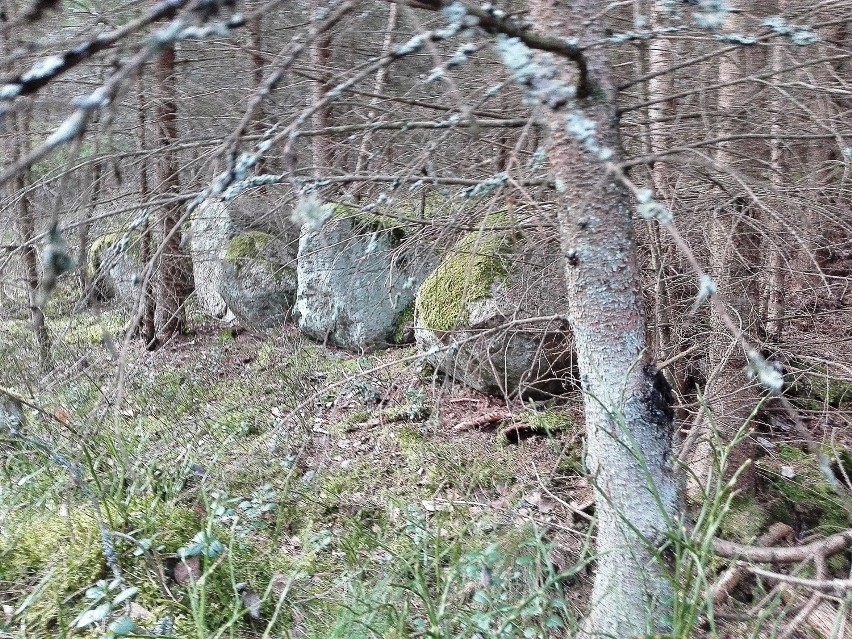 Gmina Potęgowo chce słynąć z megalitycznych grobowców [zdjęcia] 