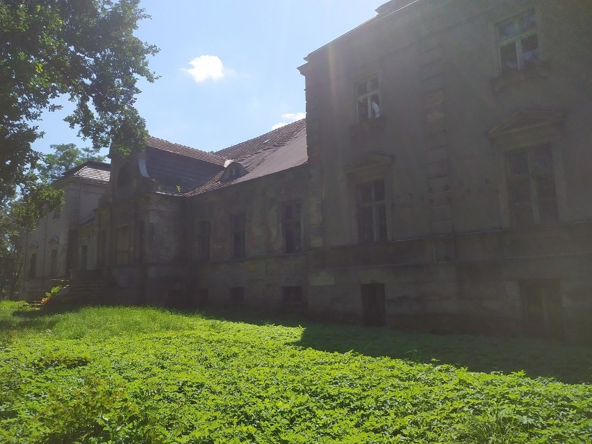 Pałac w Sierakowie Śląskim popada w ruinę. Podobno kiedyś w...