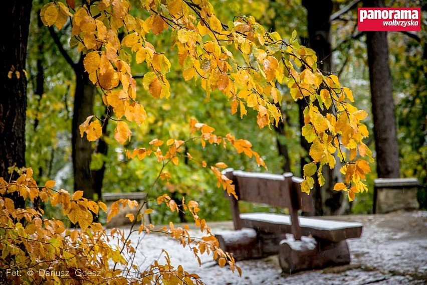 Wałbrzych: Jesienny Park Sobieskiego w pierwszej zimowej odsłonie [ZDJĘCIA]