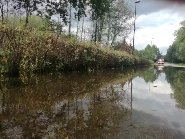 Zalewiska w Dolinie Trzech Stawów w Katowicach