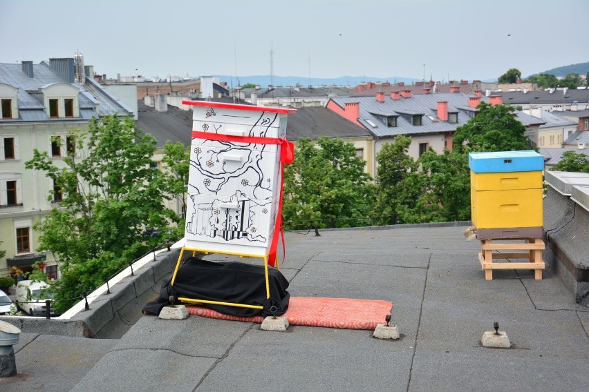 Pierwszy miejski ul w Kielcach. Pszczoły mają dom na dachu Kieleckiego Centrum Kultury [WIDEO, ZDJĘCIA]