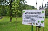 Uczcij ważne wydarzenie i zasadź drzewo w Jeleniej Górze! Super inicjatywa!