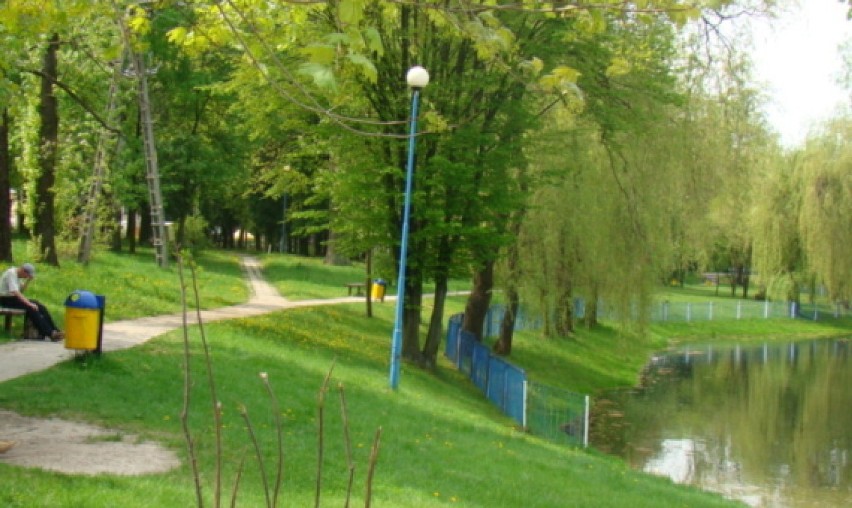 Park w Poniatowej: wytną stare drzewa, postawią ławeczki i...