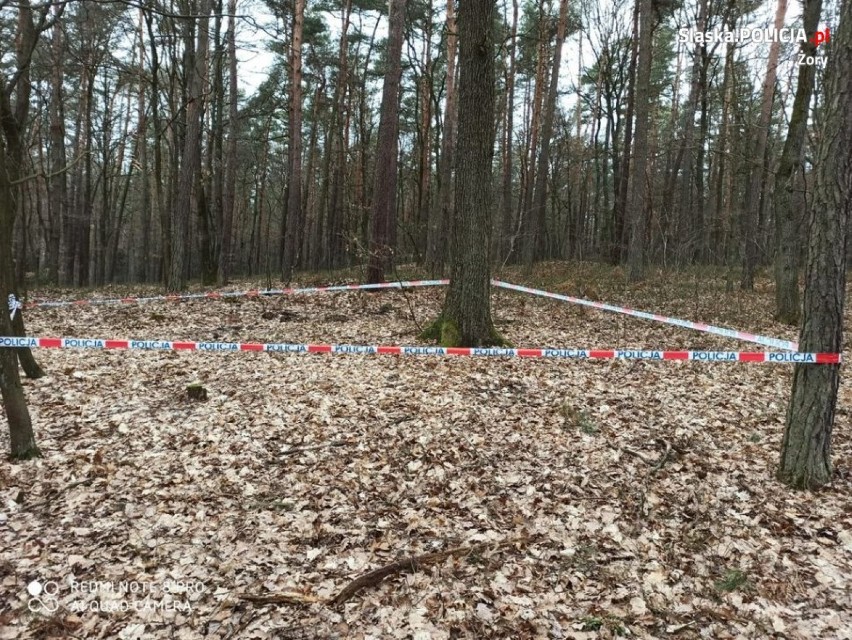 Mieszkaniec Żor napotkał na granat moździerzowy w lesie