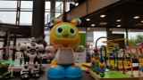 Zabawki ratują zwierzaki 2021. W Bielsku-Białej ekolodzy zbierają fanty na kiermasz zabawek