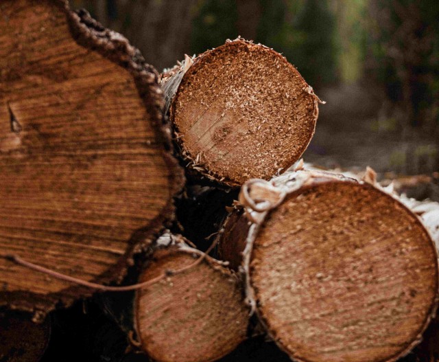 Jeśli realizacja założeń Europejskiego Zielonego Ładu spowoduje mniejsze pozyskanie drewna, przełoży się to m.in. na ceny mebli