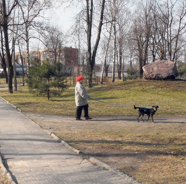 Sosnowiec. W parkach znajdujących się w dzielnicach miasta nie będzie rewolucji. Naprawy odbywają się na bieżąco. Jedynie na terenie parku w  Milowicach będą sadzone dodatkowe krzewy, a w Kaletach ma powstać zagajnik przy  placu zabaw. Jakie koszty? Tego nie wiadomo. MANO