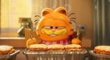 Słynny kocur powraca. Przedpremierowe pokazy filmu familijnego "Garfield" od 17 do 19 maja w Małopolskim Ogrodzie Sztuki 