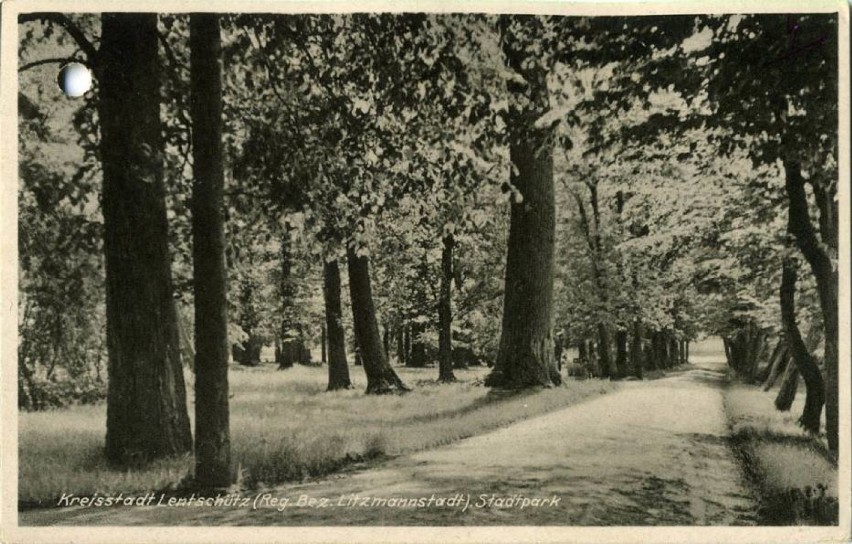 Park Miejski w Łęczycy kiedyś i dziś [ZDJĘCIA]