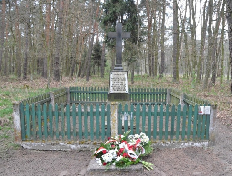 Jarogniewice: uczniowie i samorządowcy pamiętają o ukrytym w lesie miejscu hitlerowskich zbrodni