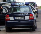 Litwini w kradzionych samochodach