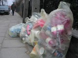 Nowe stawki za śmieci w gminie Wejherowo. Zapłacimy nieco więcej, niż do tej pory