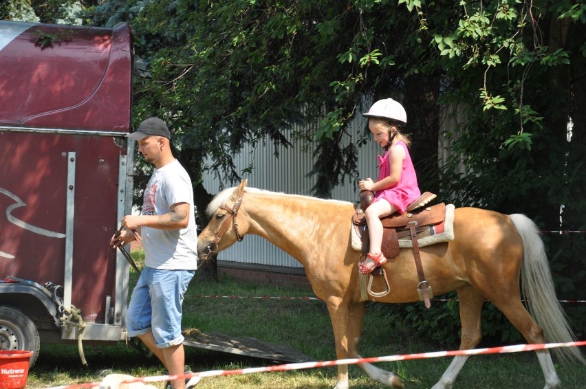 Upalne Dni Pola w Marszewie przyciągnęły rolników [ZDJĘCIA]