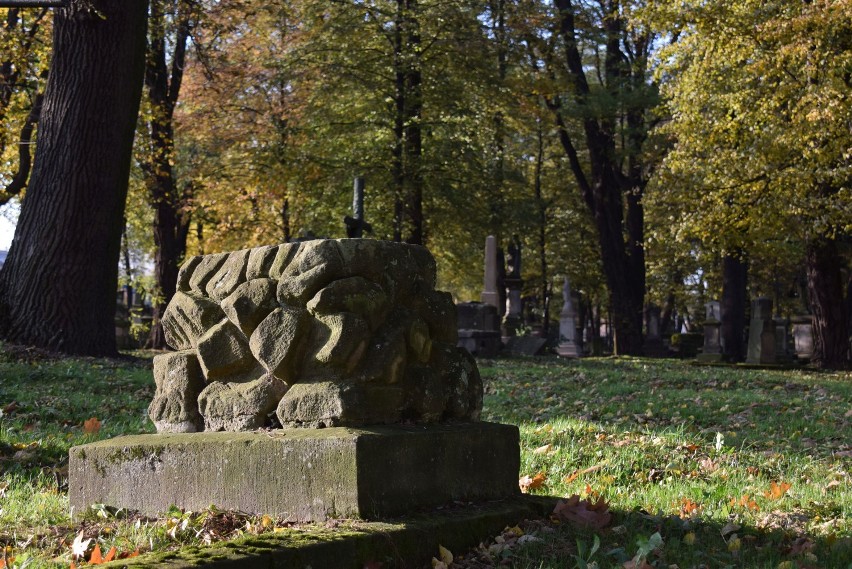 Stary Cmentarz w Krośnie. Zabytkowe nagrobki wśród wiekowych drzew [ZDJĘCIA]