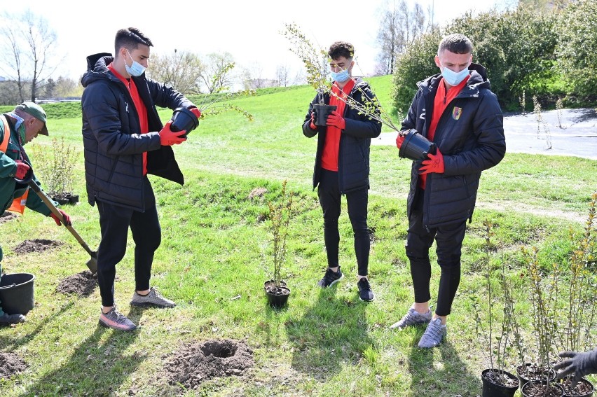 Piłkarze Korony Kielce w piątek wzięli udział w akcji...
