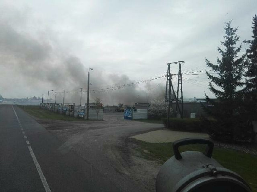 Pożar w hali stacji demontażu pojazdów w Brzozie pod Bydgoszczą