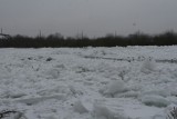 Alarm powodziowy we Włodawie nad Bugiem