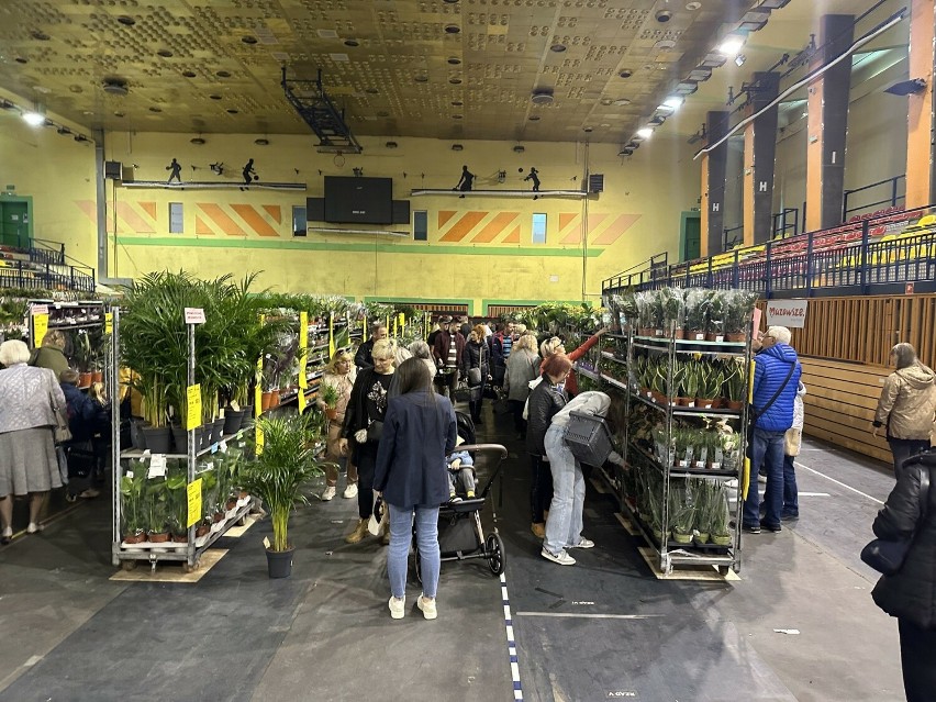 Pierwszy dzień Festiwalu Roślin w Radomiu. Mnóstwo kupujących i zwiedzających w hali przy ulicy Narutowicza. Zobacz zdjęcia
