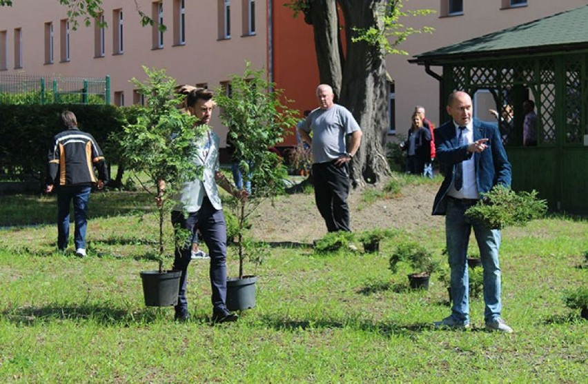 Posadzili jałowce, berberysy i tuje. Ogród przy szpitalu w Lubsku wypiękniał dzięki akcji społecznej [ZDJĘCIA]